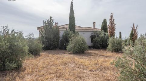 Foto 2 de Casa o xalet en venda a Huéscar, Granada