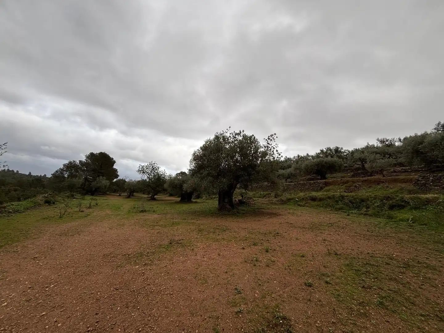 Casa rústica en venta en Alfara de Carles, imagen 23