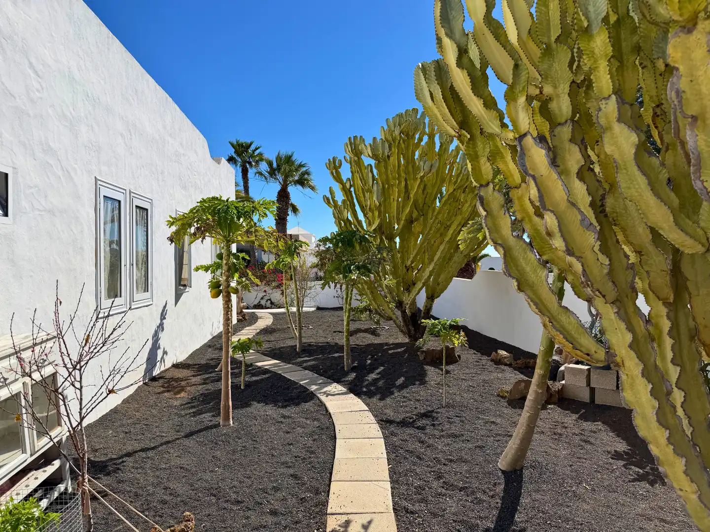 Jardín de Casa o chalet en venta en Teguise con Jardín privado y Piscina