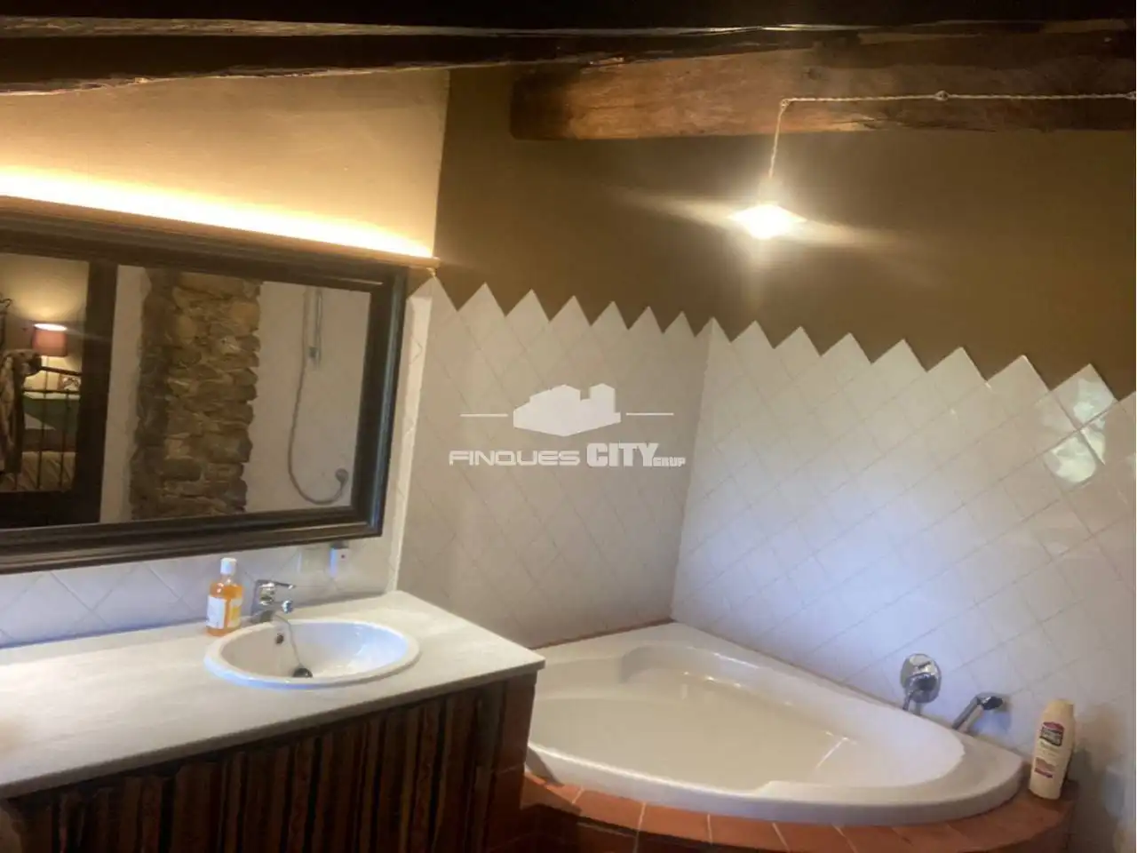 Bany de Casa o xalet en venda en Mieres (Girona) amb Calefacció i Jardí privat