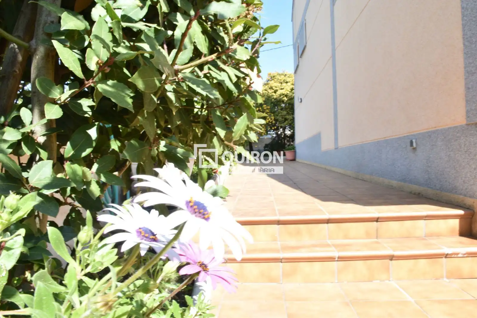 Detached house with pool for sale in Bellamar, imagen 11