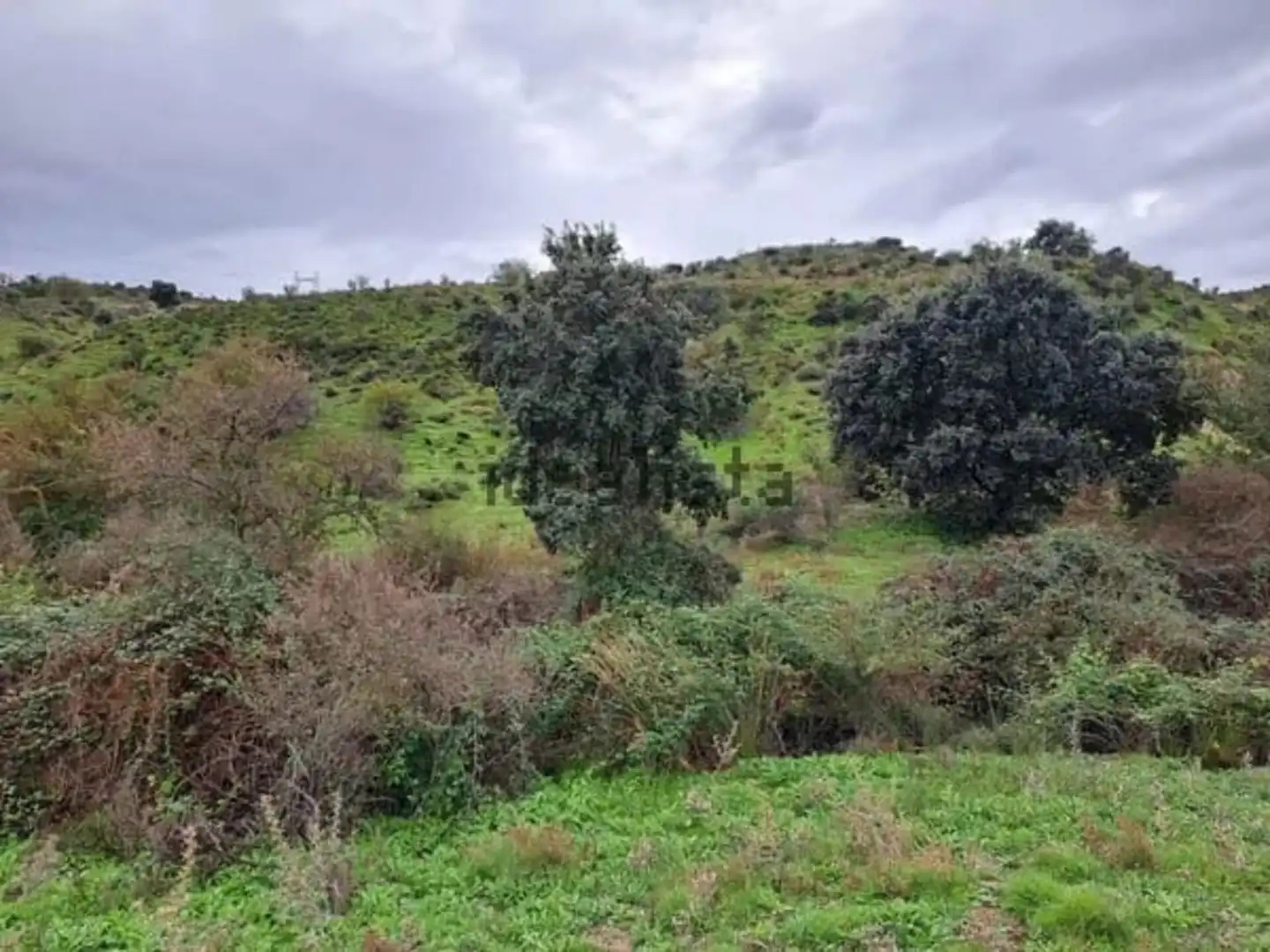 Terreny rústic en venda a Polígono Pol 8 Parcela 183 183, imagen 5