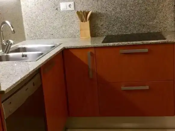 Küche von Wohnung zur Miete in Aisa mit Parkett, Abstellraum und Möbliert