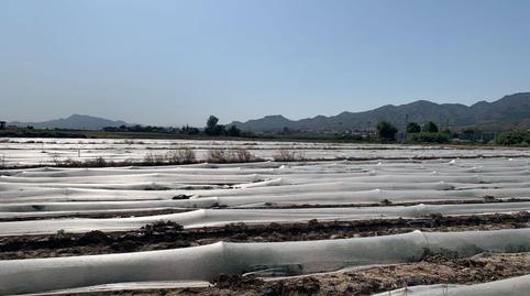 Foto 4 de Residencial en venta en La Hoya, Murcia