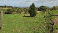 Finca rústica en venda en Jerte amb Jardí privat i Traster