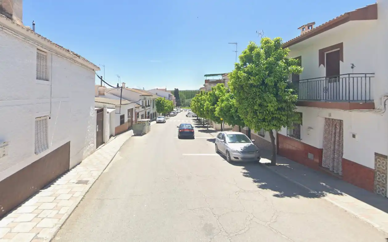 Vista exterior de Casa adosada en venta en Moraleda de Zafayona