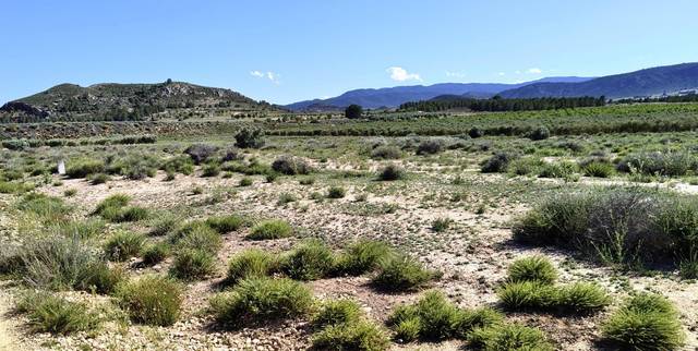 Terreno en Venta en Las Virtudes