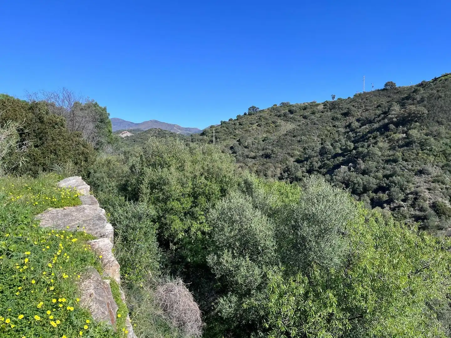 Exterior view of Residential for sale in Estepona