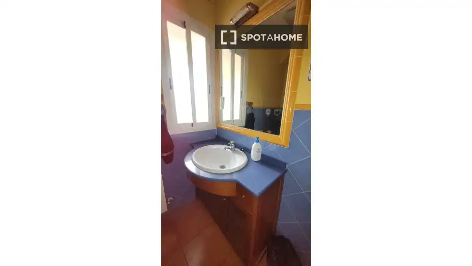 Room in Universidad San Francisco