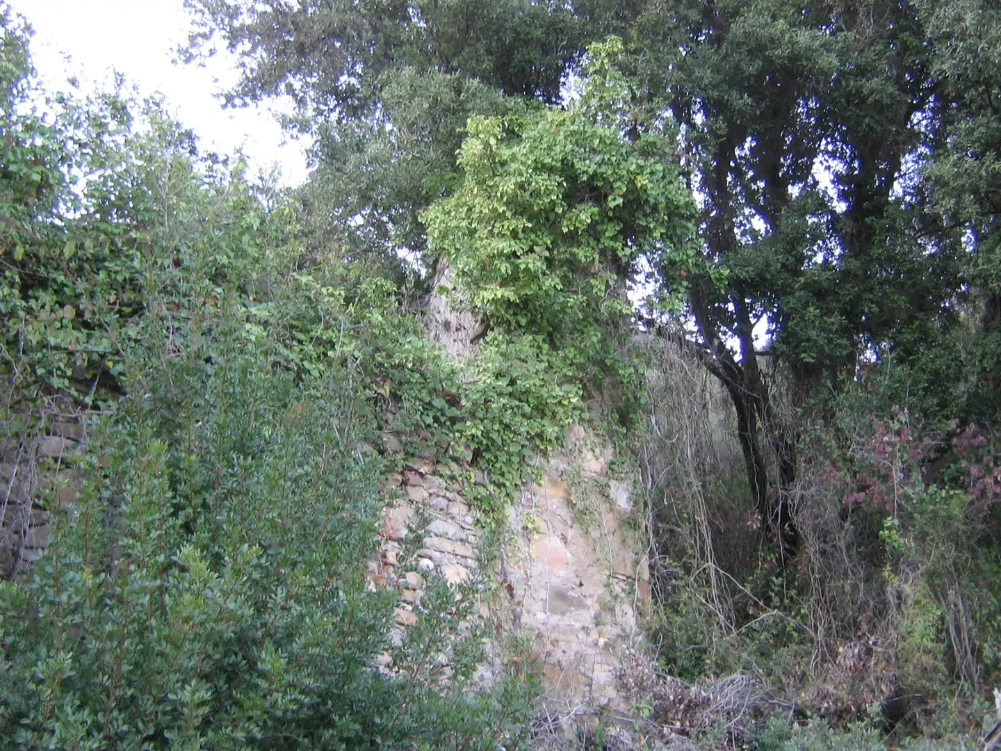 Rural land for sale in Montagut i Oix, imagen 3