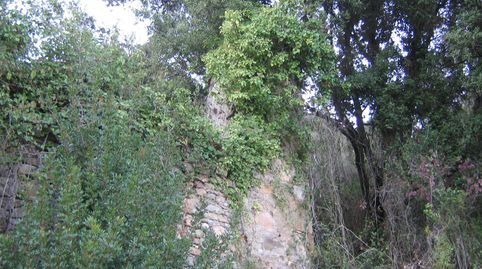 Foto 3 de Terreno en venta en Montagut i Oix, Girona