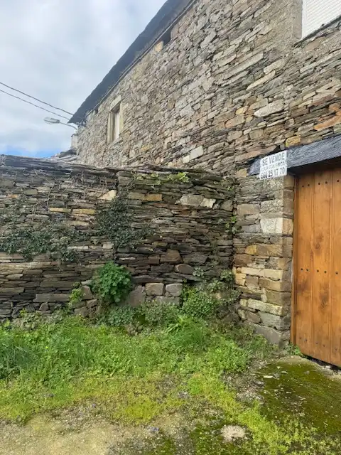 Vista exterior de Finca rústica en venda en Grandas de Salime