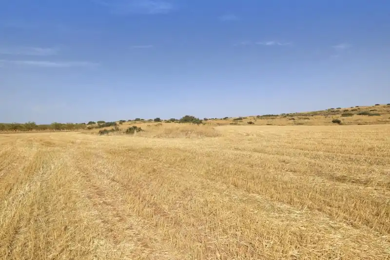 Terreni e lotti in vendita a Padul, imagen 22