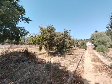 Wohnbaugrundstück zum Verkauf in La Banda - Campo de Fútbol