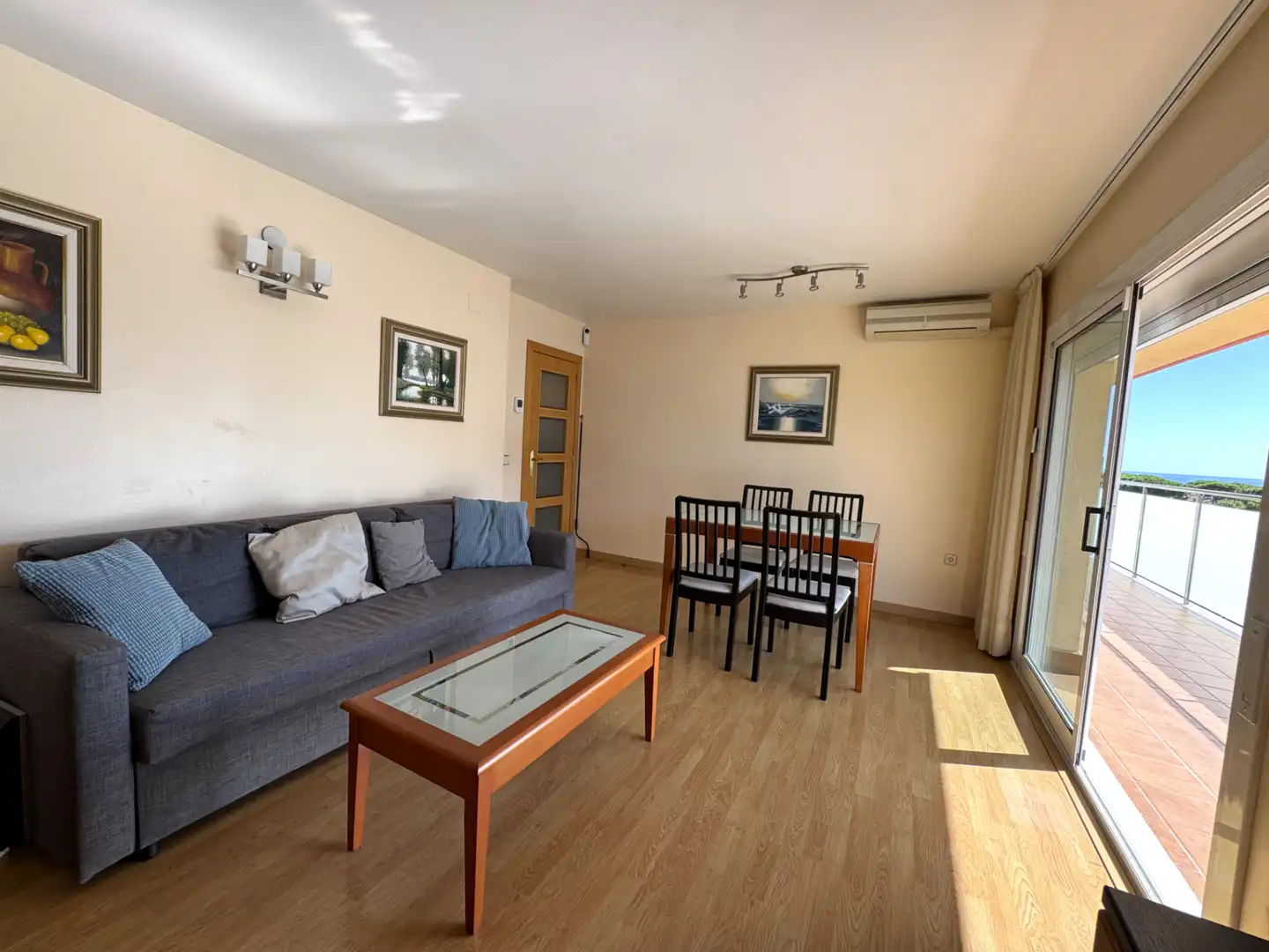 Sala d'estar de Pis en venda en Santa Susanna amb Aire condicionat, Jardí privat i Parquet