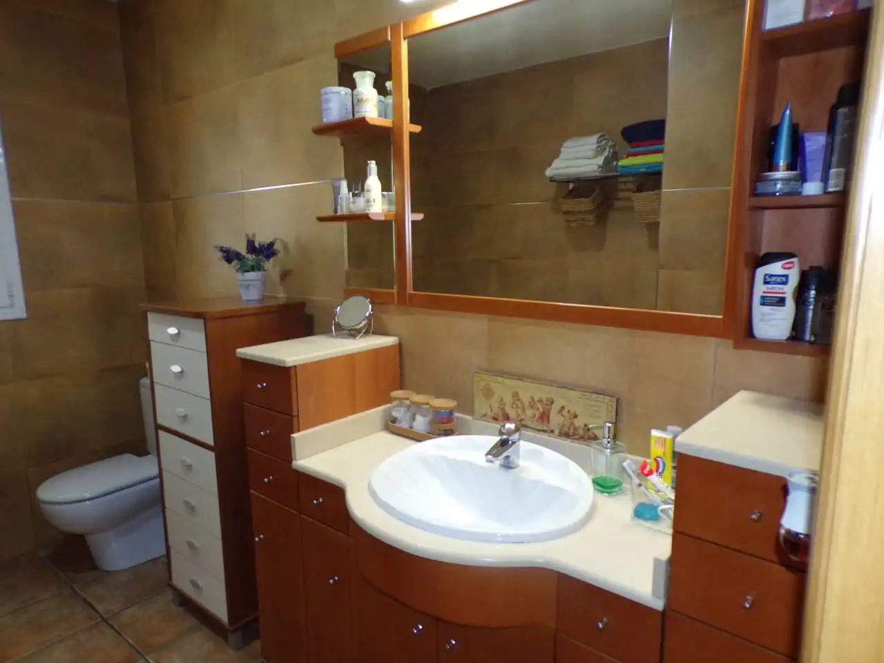 Bathroom of Houses for sale in Caldes de Malavella  with Heating, Private garden and Swimming Pool