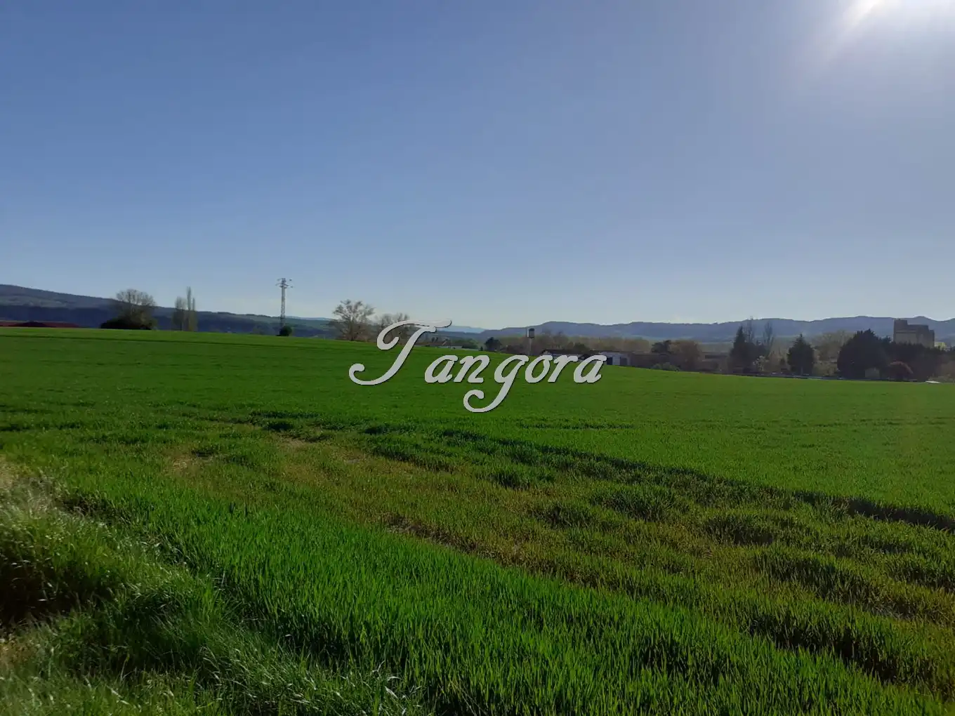 Industrial land for sale in La Puebla de Arganzón 