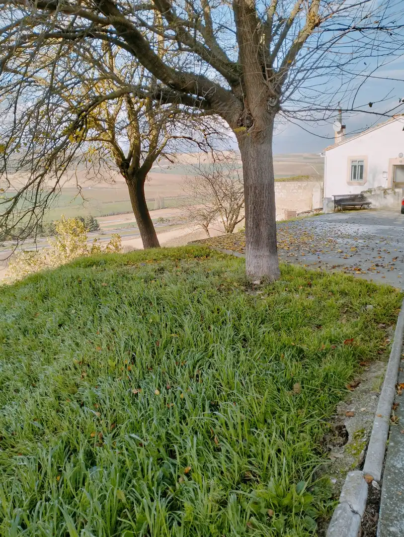 Land for sale in Tiebas-Muruarte de Reta