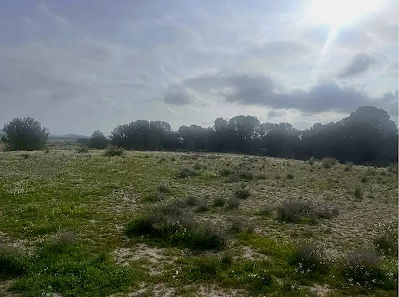 Terreno rustico in vendita a Carretera la Parroquia
