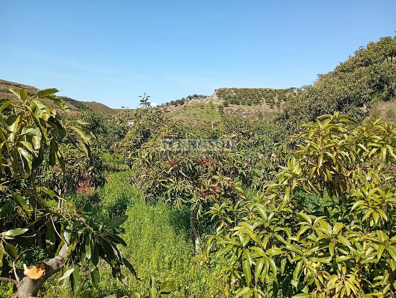 Grundstücke und Bauplätze zum Verkauf in Vélez-Málaga ciudad, imagen 12