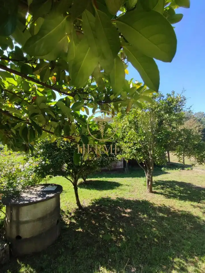 Jardín de Casa o chalet en venta en Tomiño con Calefacción, Jardín privado y Parquet