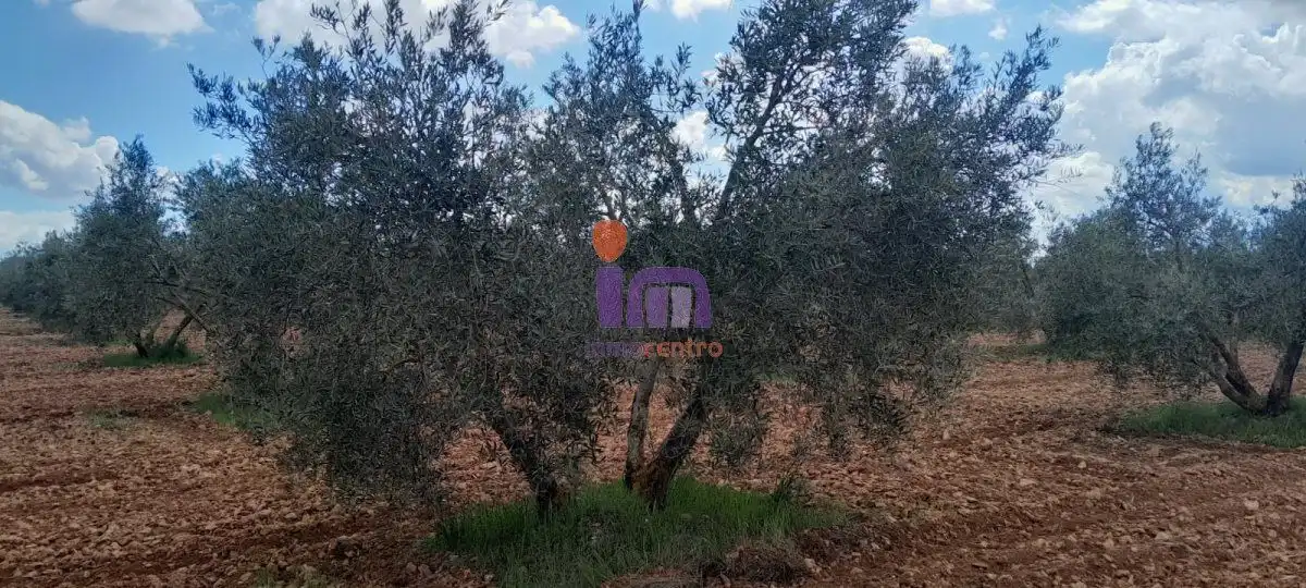 Finca rústica en venda en Valdepeñas