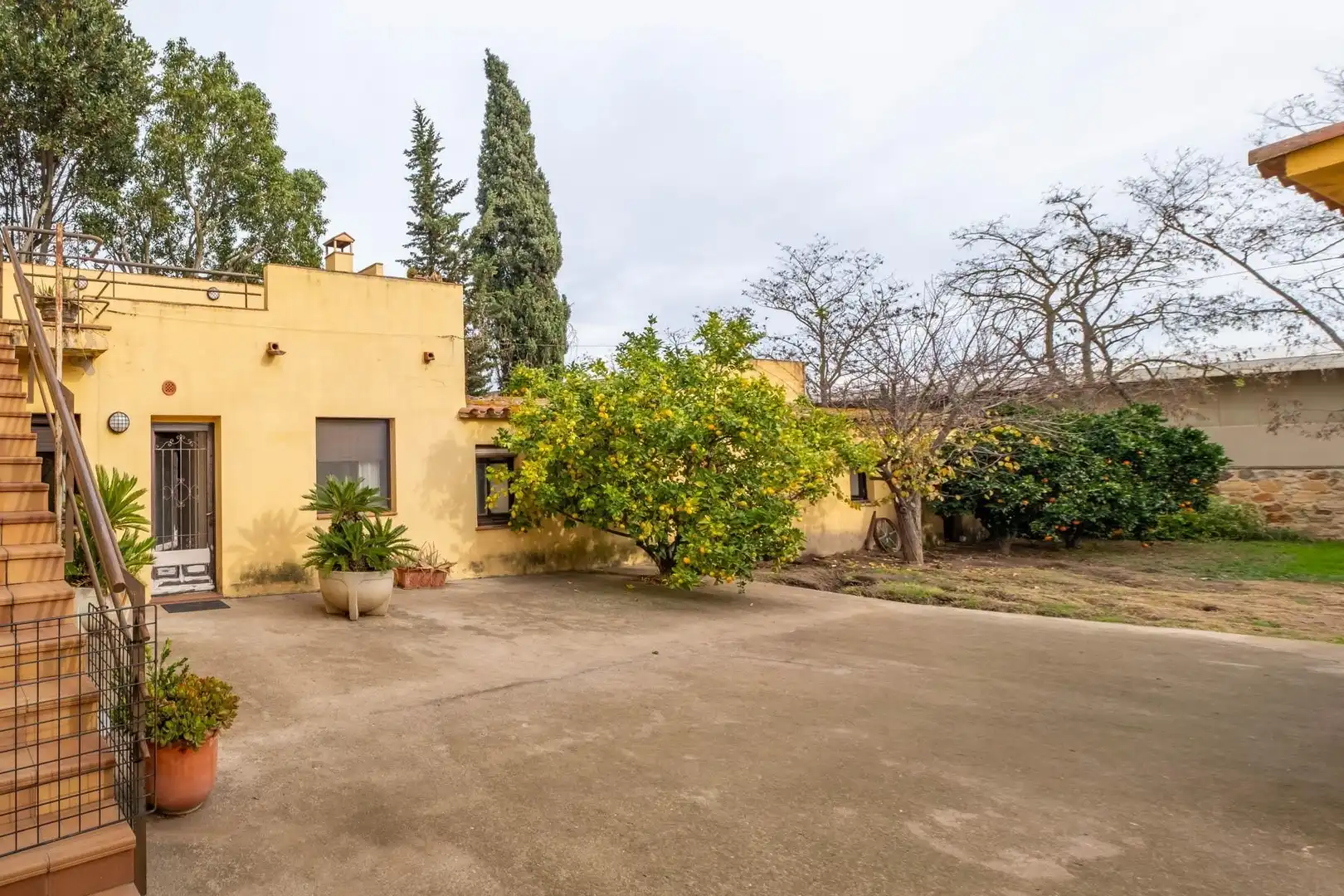 Vista exterior de Casa o chalet en venta en Pals con Calefacción, Jardín privado y Terraza