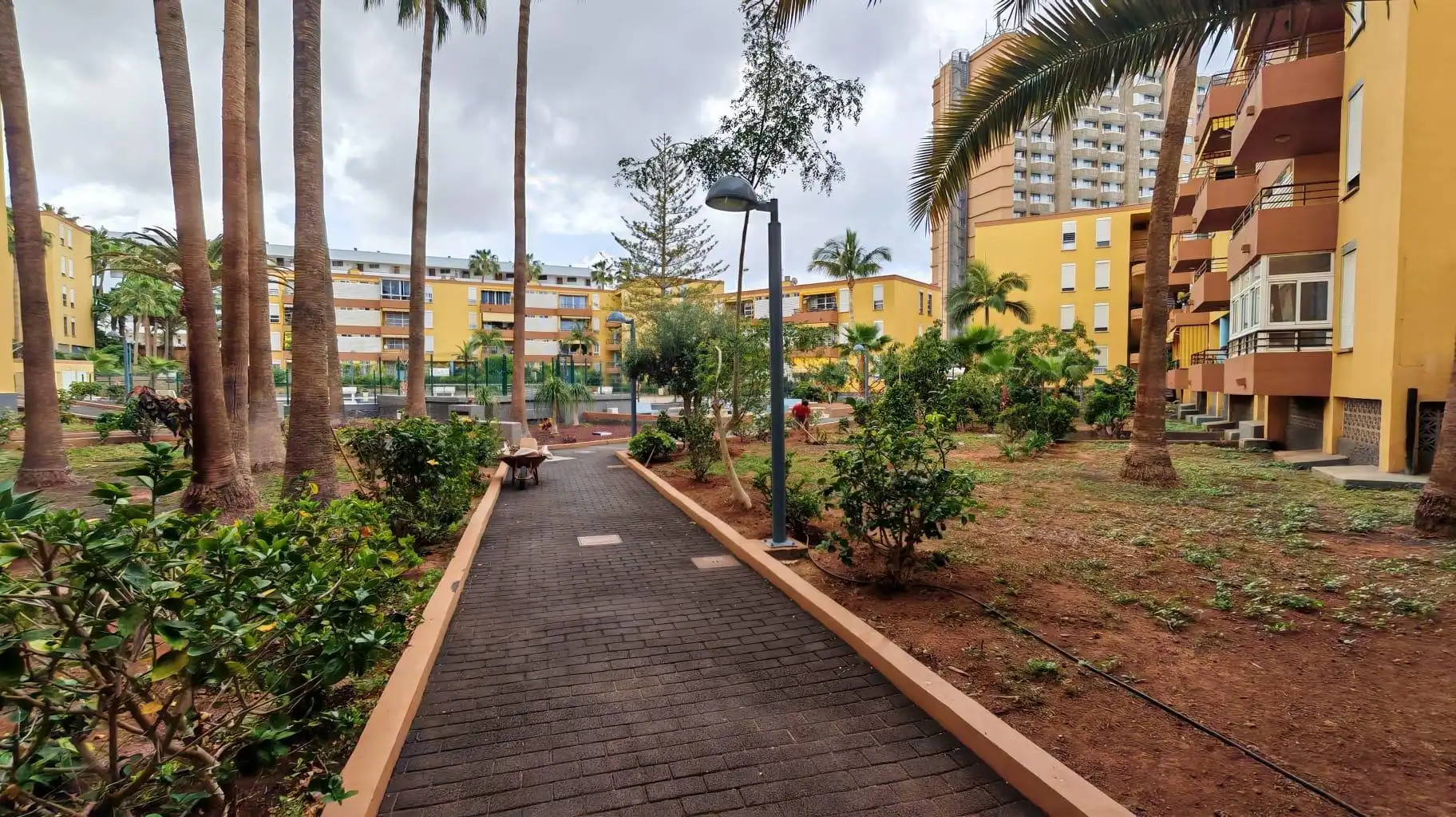 Vista exterior de Planta baixa en venda en Arona amb Jardí privat, Terrassa i Piscina comunitària