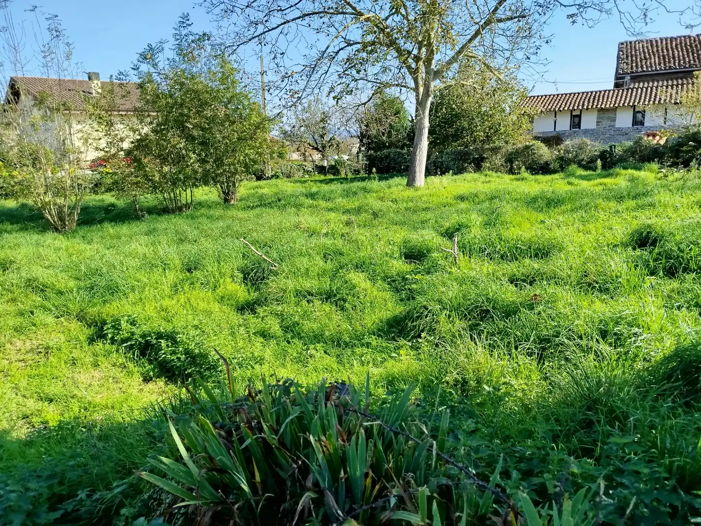 Terreno residenziale in vendita a Mendieta Auzoa 63, imagen 4