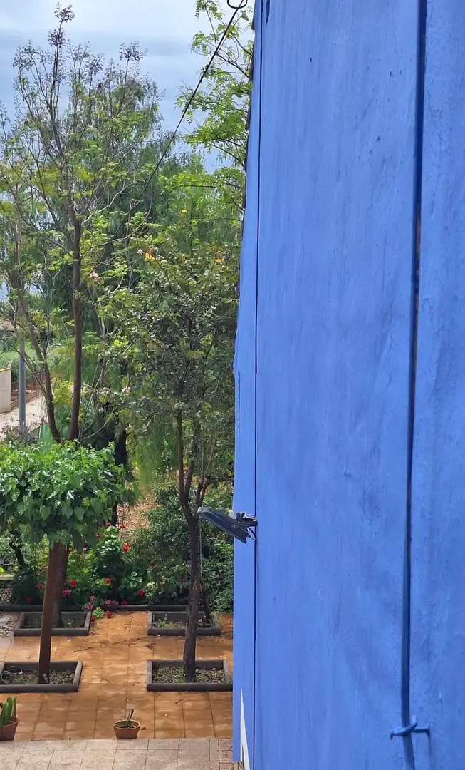 Country homes for sale in Sangonera la Seca