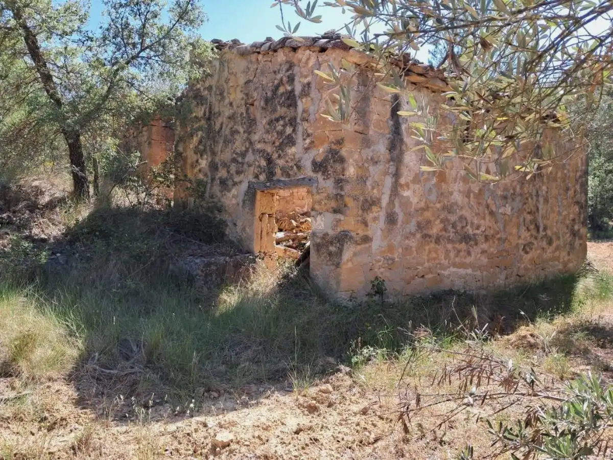 Terreni e lotti in vendita a Cretas