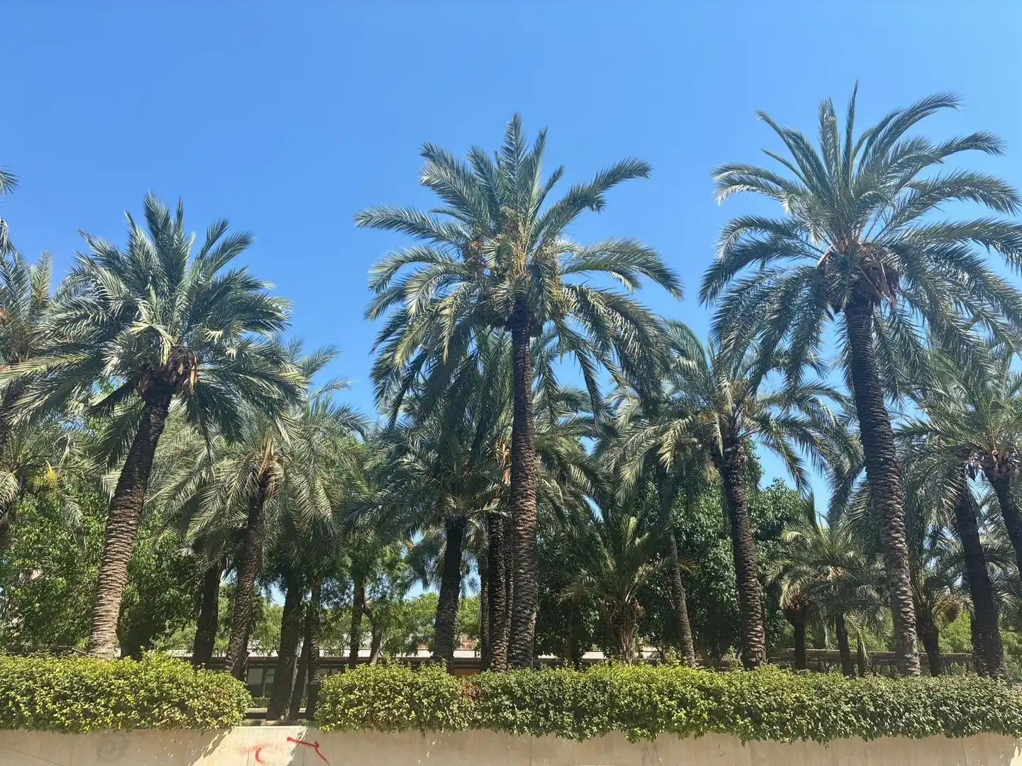 Vista exterior de Pis en venda en Elche / Elx amb Alarma