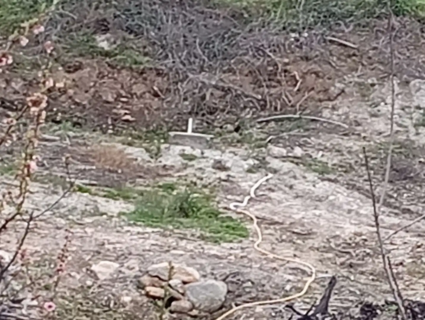 Terreni e lotti in vendita a Villanueva de la Vera, imagen 43
