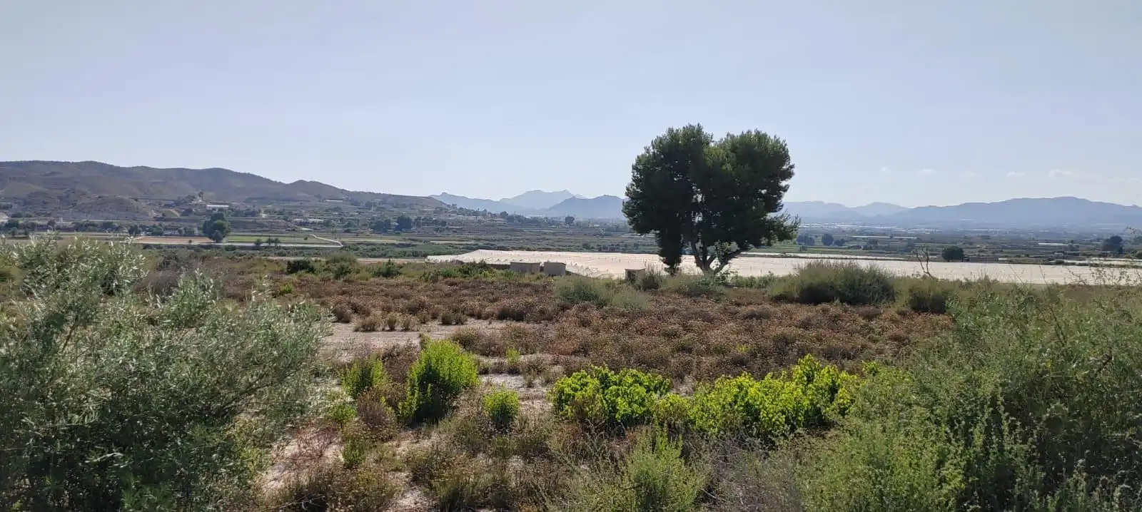 Rustikales Grundstück zum Verkauf in Carretera CAMINO EL RIO, imagen 5