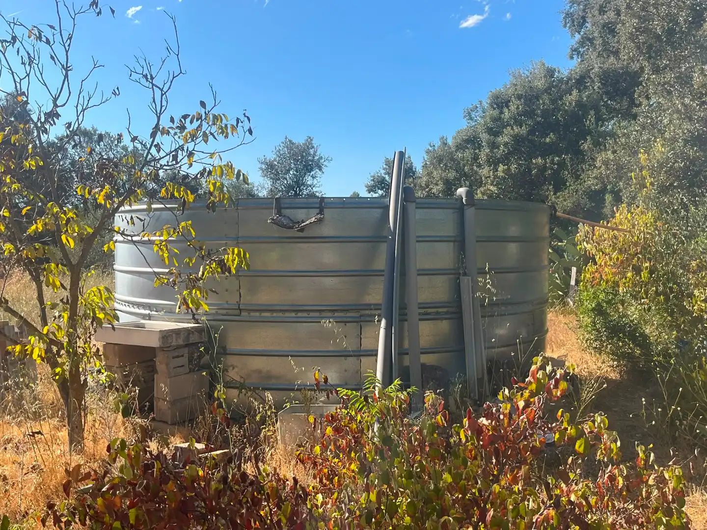 Terreno rustico in vendita a Arnes, imagen 9