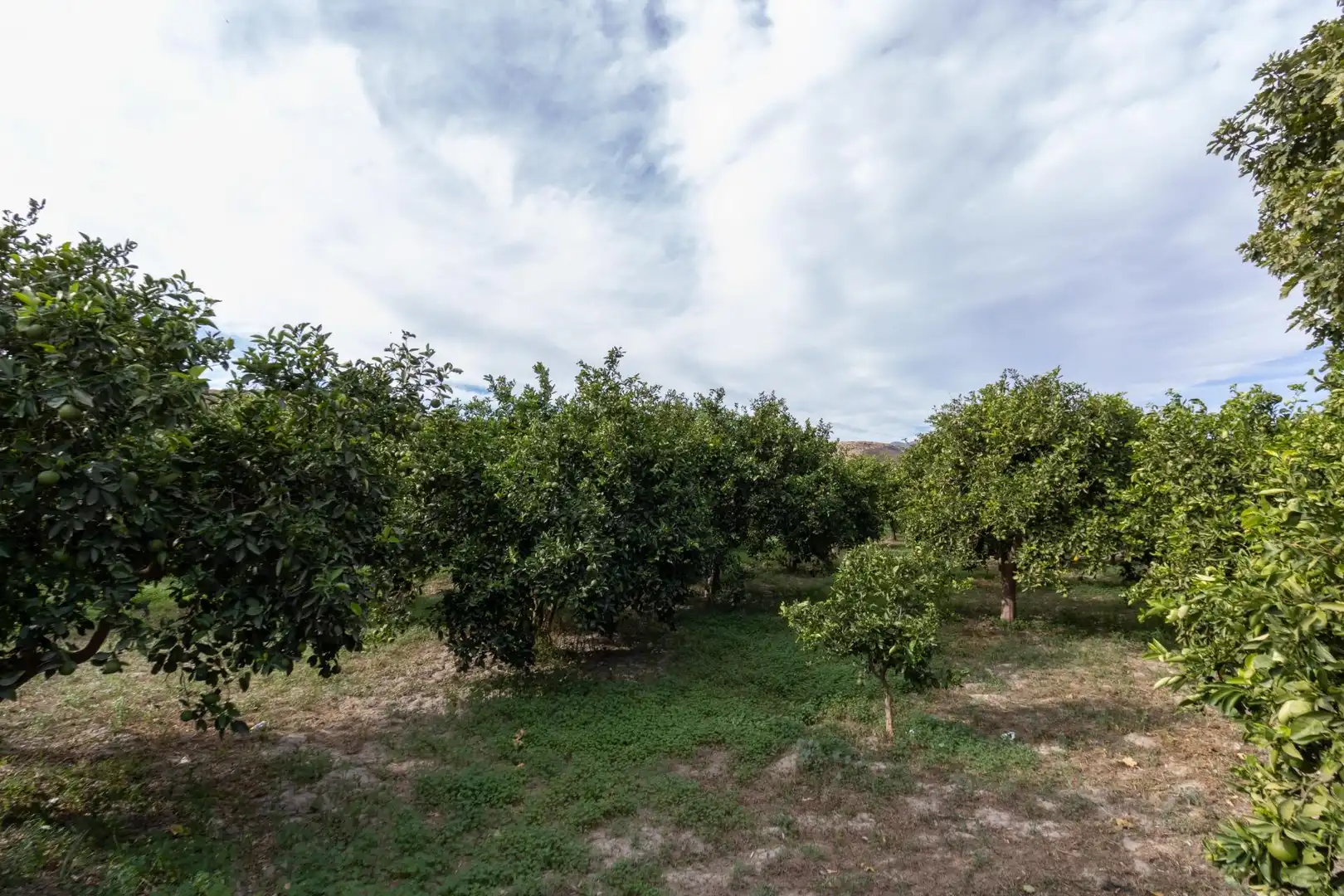 Land for sale in Santa Fe de Mondújar