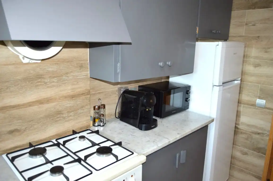 Cocina de Apartamento de alquiler en Alp con Calefacción, Parquet y Terraza