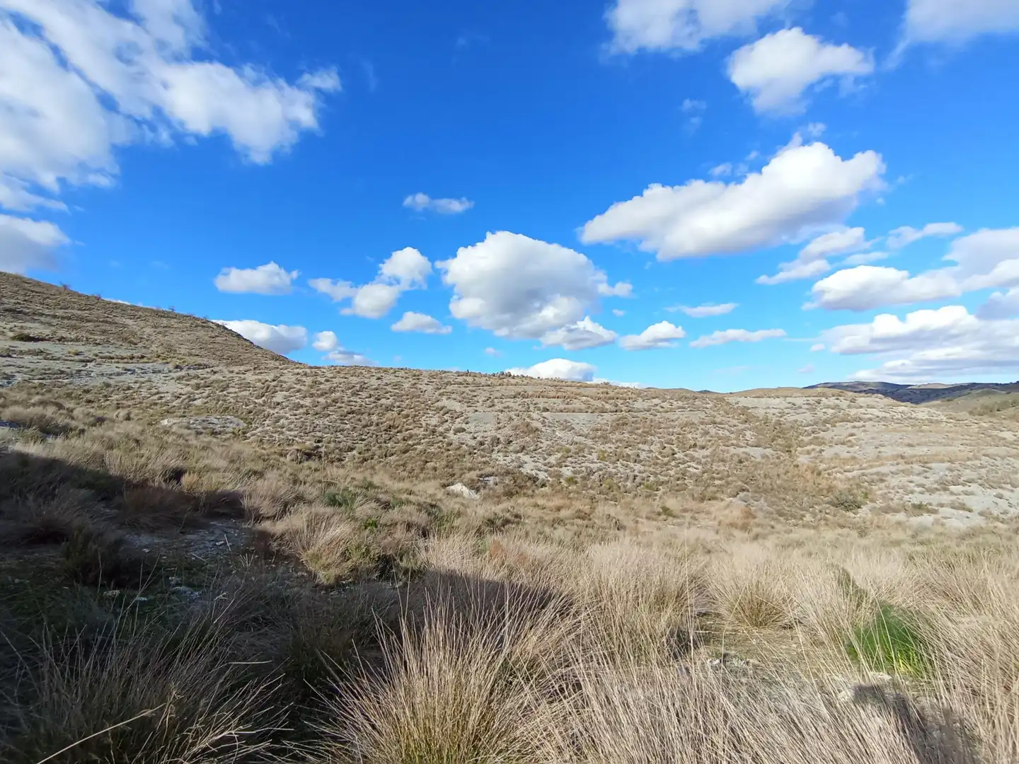 Country homes for sale in Bejar