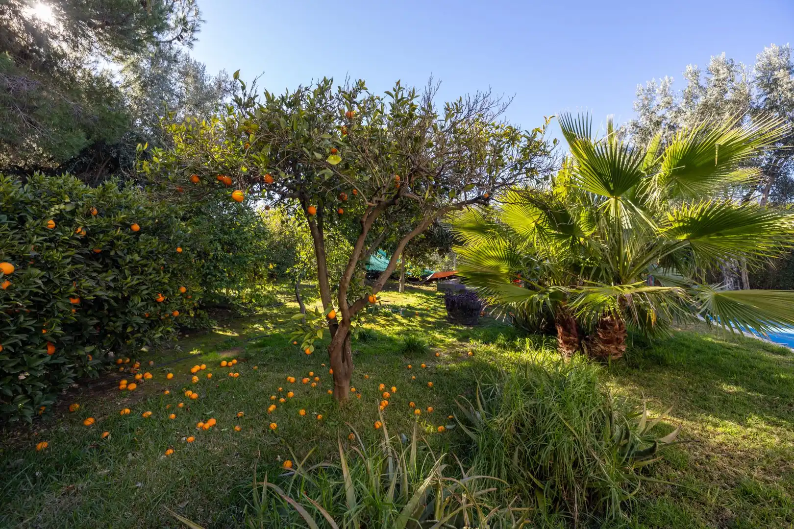 Villa avec terrasse à vendre à El Valle, imagen 49