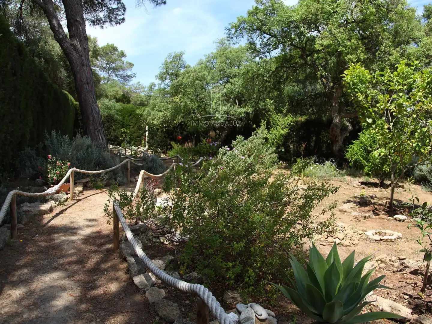 Jardí de Casa o xalet en venda en Vejer de la Frontera amb Aire condicionat i Piscina