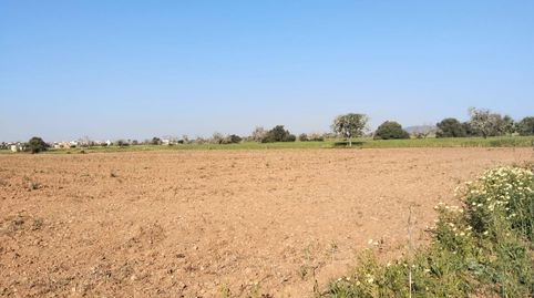 Foto 2 de Terreno en venta en Campos poble, Campos