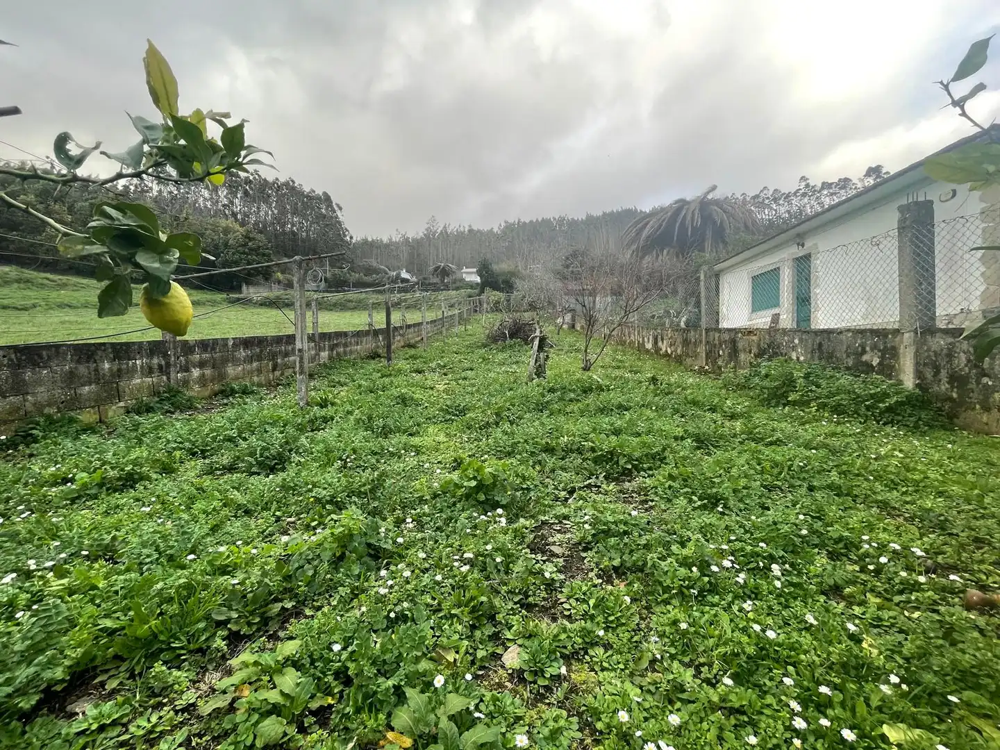 Casa o xalet en venda en Valdoviño