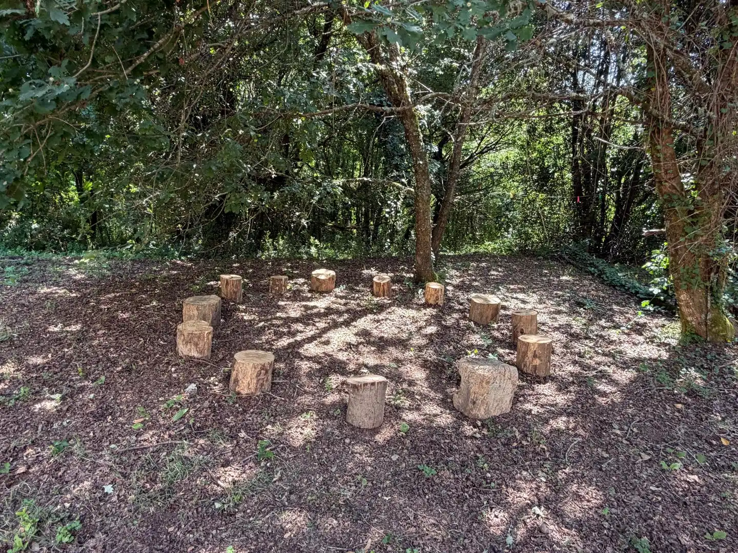 Jardí de Finca rústica en venda en Gomesende amb Jardí privat, Terrassa i Traster