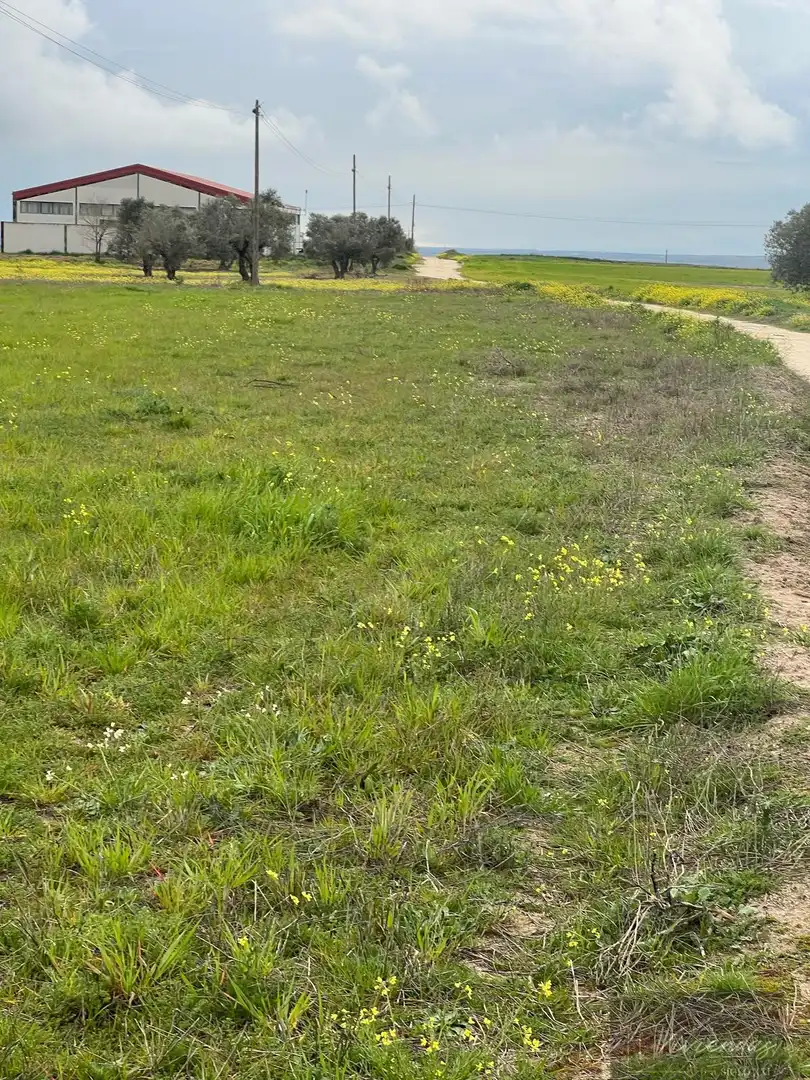 Terreny residencial en venda a El Viso de San Juan, imagen 13