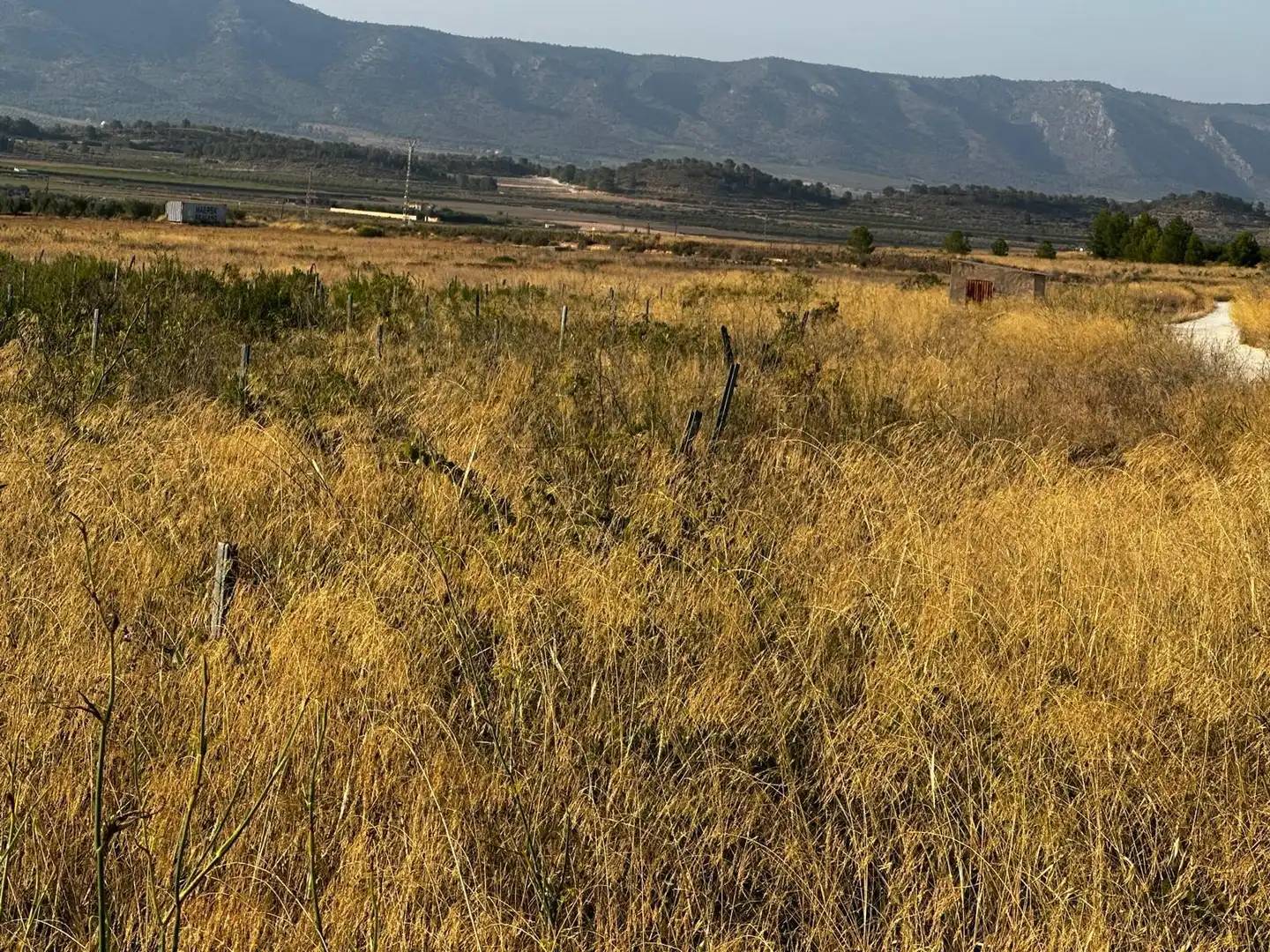 Wohnbaugrundstück zum Verkauf in El Pinós / Pinoso, imagen 7