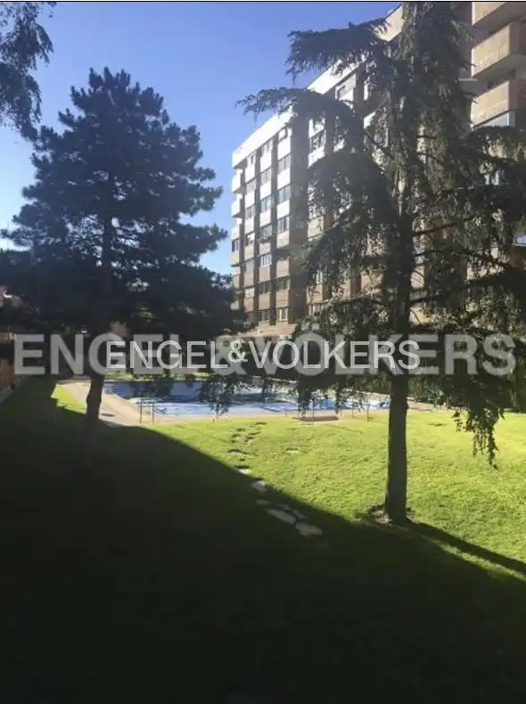 Piscina de Pis de lloguer en Madrid amb Aire condicionat, Calefacció i Jardí privat