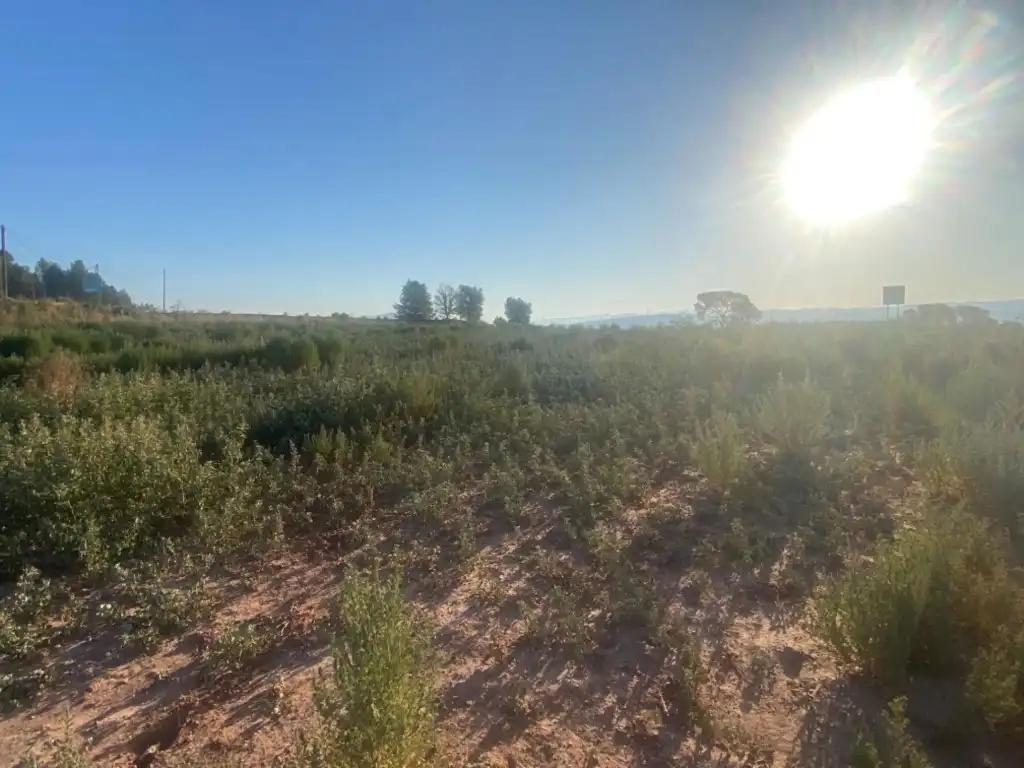 Terreny residencial en venda a Sant Fruitós de Bages, imagen 10