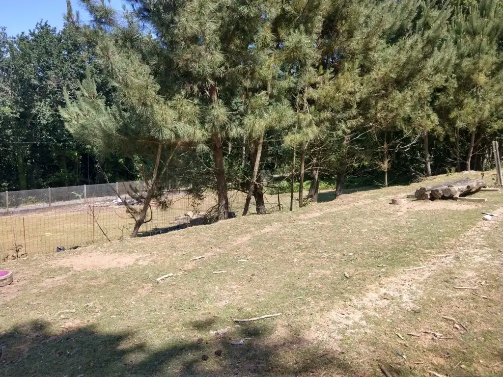 House for sale in Noveledo, imagen 7