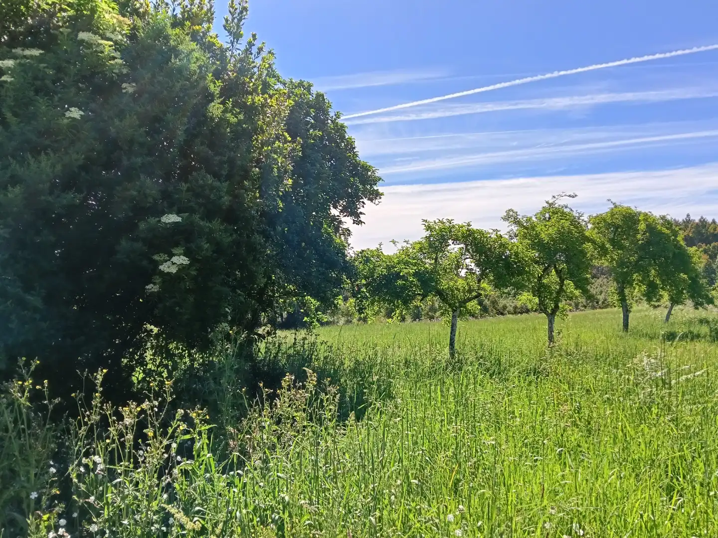 Haus oder Chalet zum Verkauf in Curtis mit Privatgarten
