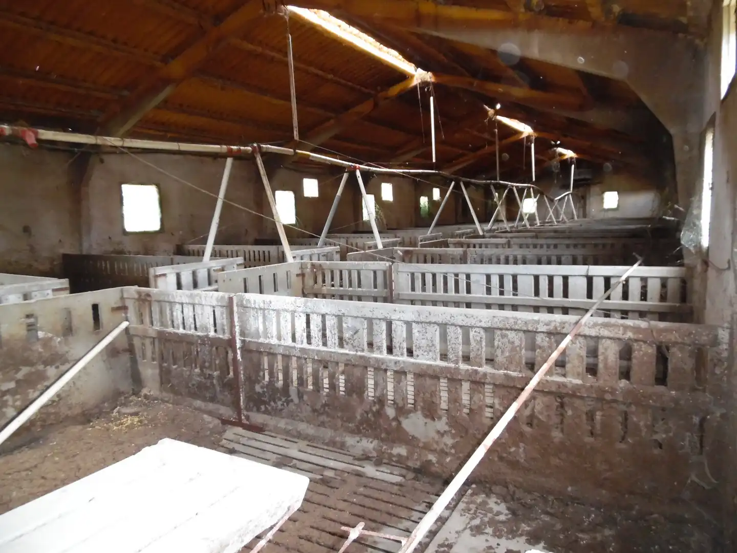 Nave industrial in vendita a PR EL SOLANO, imagen 10